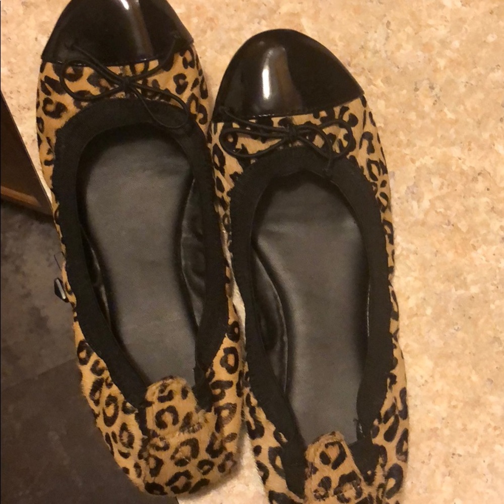 Cheetah flats